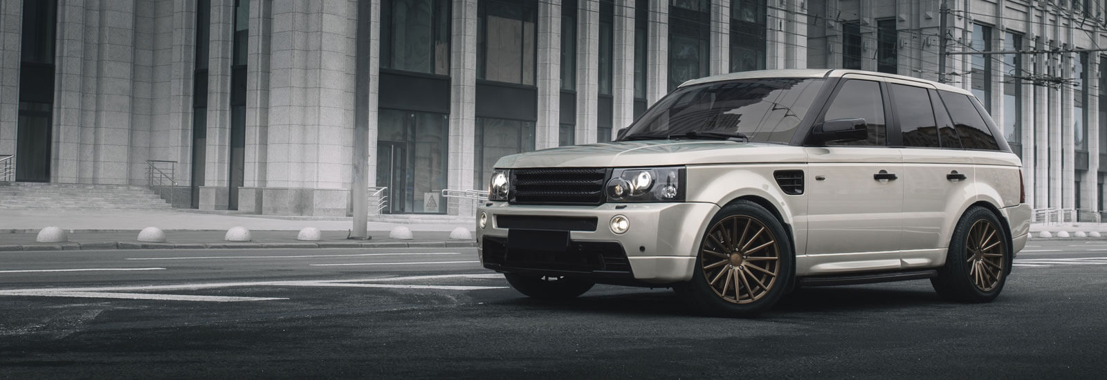 Mp Auto Trading